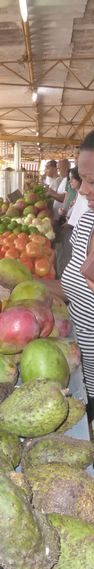 Am Puls des Geschehens